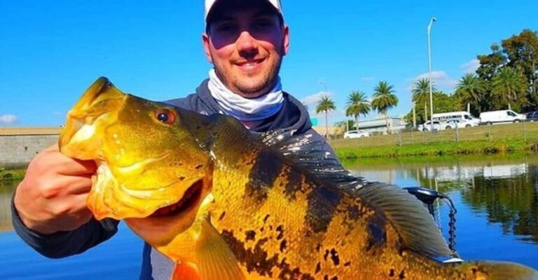 Peacock Bass Fishing Trips Near Miami Florida - Highlights of the Experience