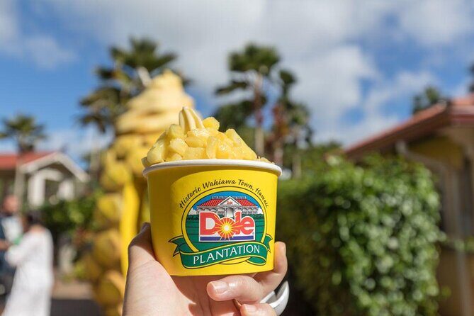 Pearl Harbor + Dole Plantation + Polynesian Center from Maui - Practical Details & Tips