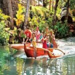 Pearl Harbor & Mini Circle Island from Maui - The Value of This Tour