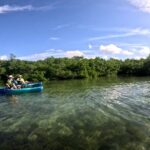 Pedal Kayak Mangrove Tunnel Tour in Bradenton - What the Experience Feels Like