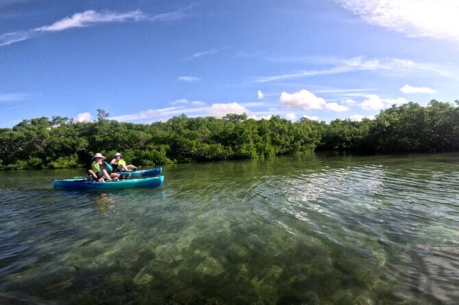 Pedal Kayak Mangrove Tunnel Tour in Bradenton - What the Experience Feels Like
