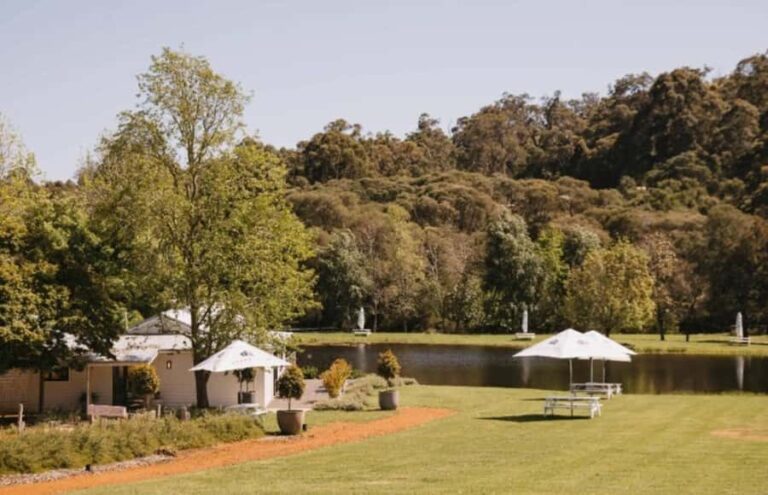 Pemberton: Ampersand Estates Wine Tasting Experience - What to Expect on the Tour