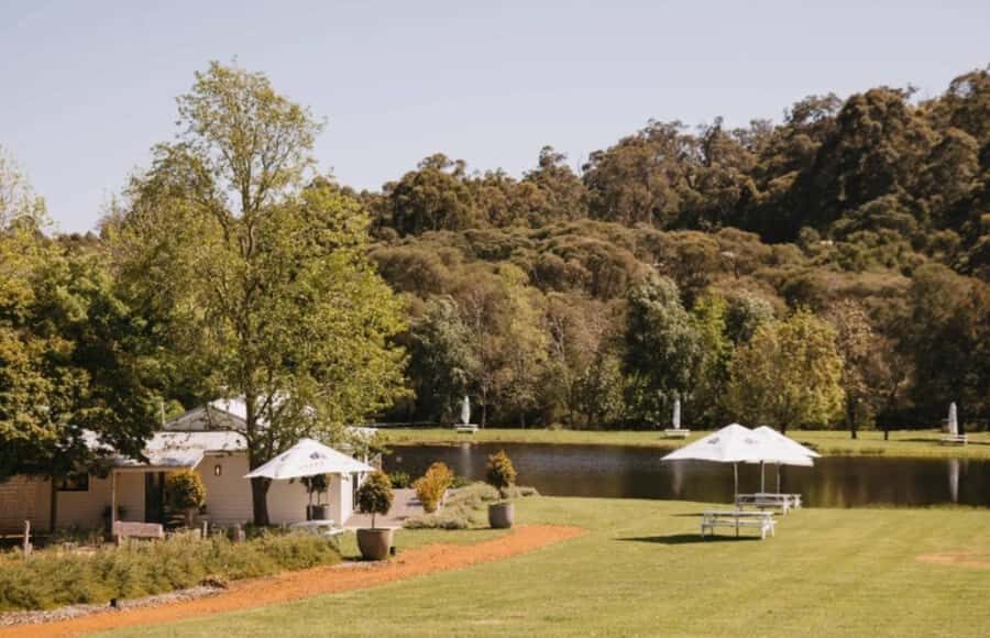 Pemberton: Ampersand Estates Wine Tasting Experience - What to Expect on the Tour