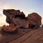 Penneshaw: Shore Excursion Kangaroo Island Scenic Tour - Value for Money and Overall Experience