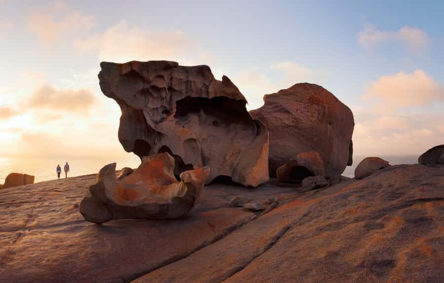 Penneshaw: Shore Excursion Kangaroo Island Scenic Tour - Value for Money and Overall Experience