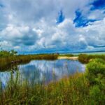 Pensacola Beach Fort Pickens Dolphin Cruise Tour - What the Experience Feels Like