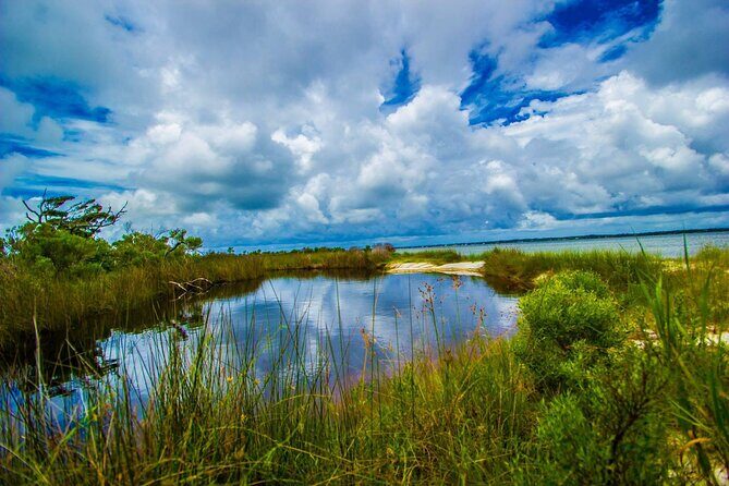 Pensacola Beach Fort Pickens Dolphin Cruise Tour - What the Experience Feels Like
