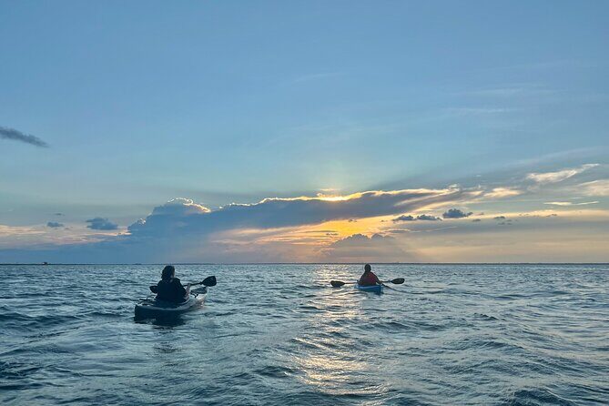 Pensacola Beach Kayak Tour - The Bottom Line