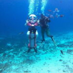 Personal Mini Submarine Dive Adventure in Cozumel - The Itinerary in Detail