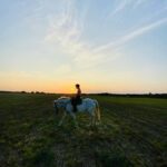 Perth, Australia: 1-Hour Scenic Horseback Trail Adventure - Detailed Breakdown of the Itinerary