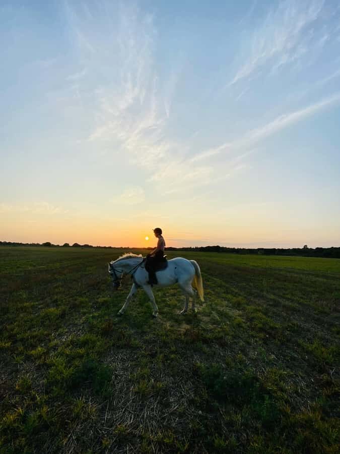 Perth, Australia: 1-Hour Scenic Horseback Trail Adventure - Detailed Breakdown of the Itinerary