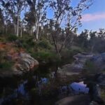 Perth: Darling Range Twilight Wander - What You Can Expect on the Tour