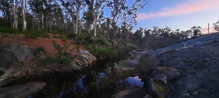 Perth: Darling Range Twilight Wander - What You Can Expect on the Tour
