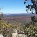 Perth: Darling Range Twin Peaks Hike with Morning Tea - What Makes This Hike Special?