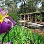 Perth Hills Explorer Private Day Tour - A Detailed Look at the Perth Hills Explorer Private Day Tour
