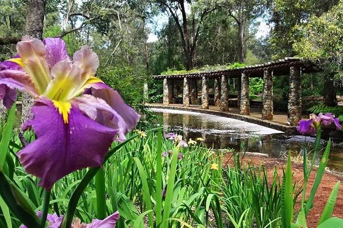 Perth Hills Explorer Private Day Tour - A Detailed Look at the Perth Hills Explorer Private Day Tour