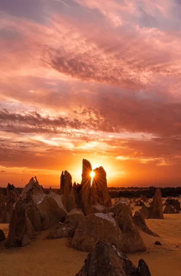 Perth: Pinnacles Desert Sunset and Stargazing with Dinner - The Pros and Cons