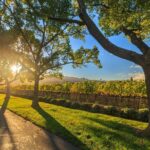 Perth Wildlife Park & City Highlights - Premium Small Group Tour - Practical Details and Value