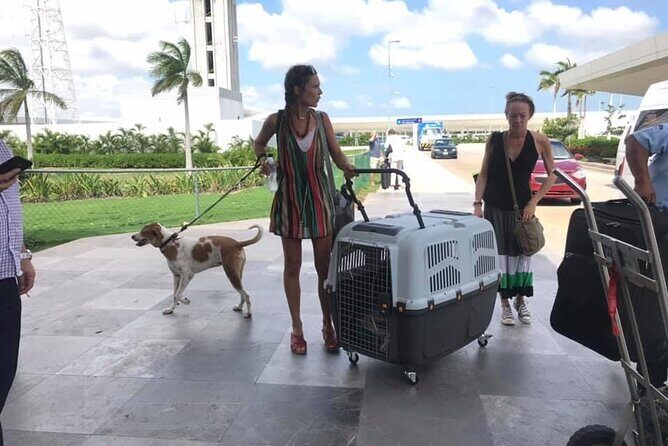 PET FRIENDLY Private Transfer Cancun - Playa del Carmen - The Details of the Transfer Experience