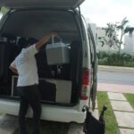 Pet Friendly Transportation Service In Cancun - What to Expect on Your Journey