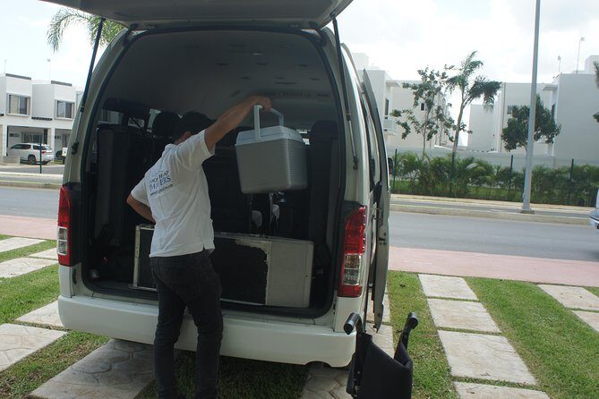 Pet Friendly Transportation Service In Cancun - What to Expect on Your Journey