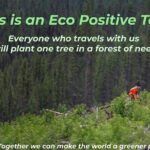 Philadelphia, Washington DC & Amish Country, 2-Days from NYC - Day 2: The Heart of Washington’s Monuments and Museums