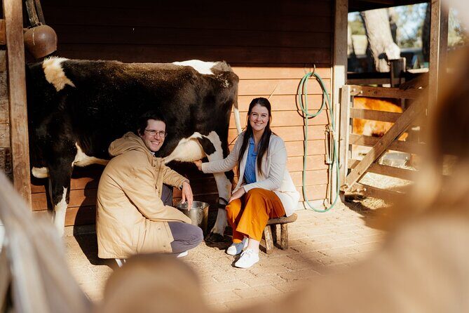 Phillip Island and Penguin Parade Private Tour - Practical Details That Matter