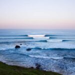 Phillip Island: Hike and Penguin Parade - 8 pax Small Tour - Practical Details and Considerations