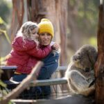 Phillip Island Penguin and Koala Highlights Day-Trip from Melbourne - The Experience of the Day