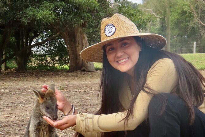 Phillip Island Penguin Parade and Wildlife Tour from Melbourne - Logistics and Practicalities