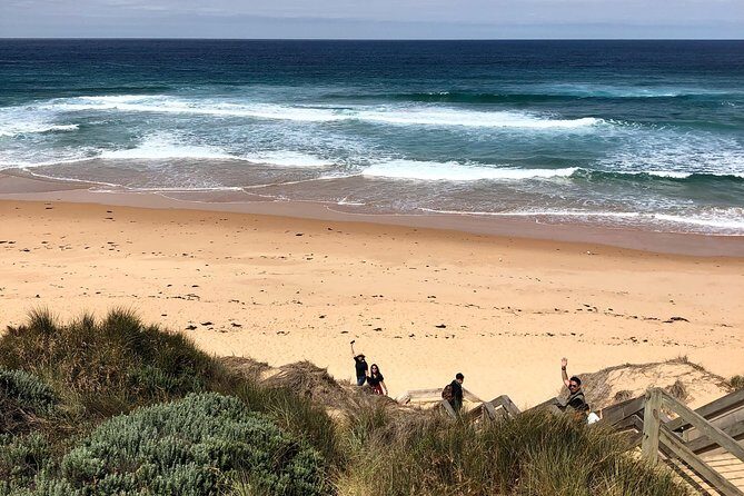 Phillip Island Penguins Private Adventure - FAQs