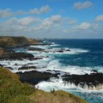 Phillip Island: Private Guided Tour with Penguin Parade - The Practical Side: What You Should Know