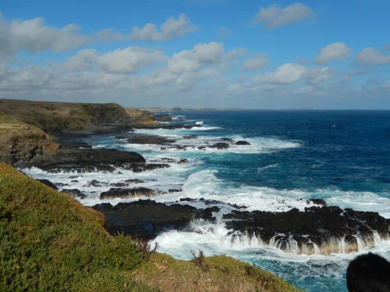 Phillip Island: Private Guided Tour with Penguin Parade - The Practical Side: What You Should Know