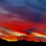 Phoenix: Family Fun Guided Hike | Kids Under 10 FREE! - Is It Worth the Price?