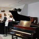 Phoenix Landmarks Tour Desert Botanical Garden - What We Think Overall