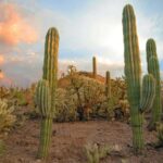 Phoenix & Scottsdale: Full Day City Highlights Tour - The Sum Up: Is This Tour Right for You?