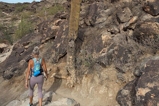 Phoenix South Mountain Hiking Tour Experience - The Itinerary in Detail