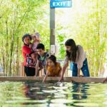 Phoenix Zoo One Day General Admission Ticket - The Animal Encounters
