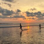 Phone photography - The Photos and Pricing