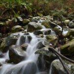 Photography & Advanced Hike to Turquois Lake & Glacier - Who Will Love This Tour?