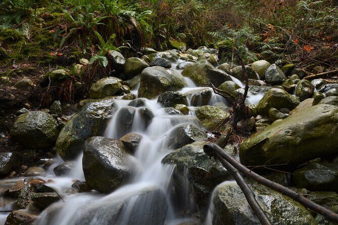 Photography & Advanced Hike to Turquois Lake & Glacier - Who Will Love This Tour?