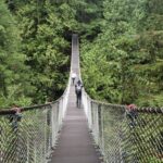 Photography in Rainforest & Suspension Bridge - The Itinerary in Detail