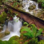 Photography & Intermediate Hiking - Real Experiences: What Travelers Say