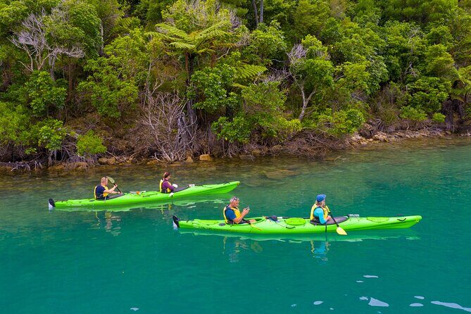 Picton Morning Guided Kayak with Afternoon Boat Cruise Tour - FAQs
