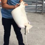 Pier Fishing Tour - San Diego - The Group and Logistics