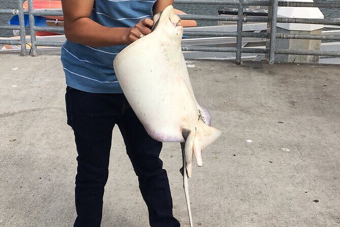 Pier Fishing Tour - San Diego - The Group and Logistics