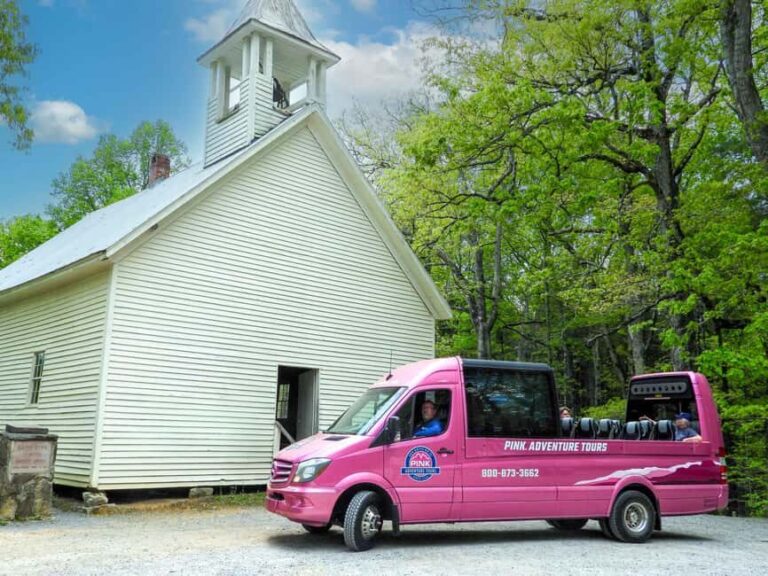 Pigeon Forge: Cades Cove Tour in a Pink Panorama Van - What Sets This Tour Apart