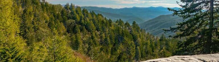 Pigeon Forge: Newfound Gap and Smoky Mountains Jeep Tour - The Value of the Experience