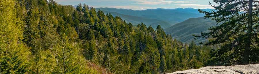 Pigeon Forge: Newfound Gap and Smoky Mountains Jeep Tour - The Value of the Experience