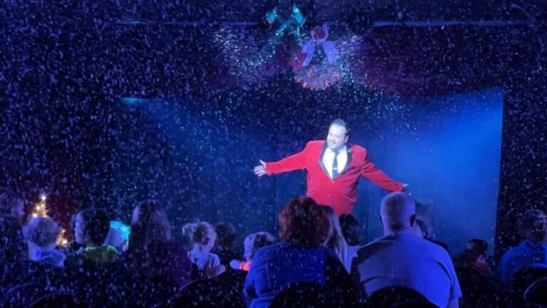 Pigeon Forge: Steven Best's Unbelievable Magic Show - Who Should Consider This Show?